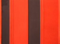 1961<br>Rosso e nero n.49<br>collage, legno e smalto industriale su tela<br>cm 150x200