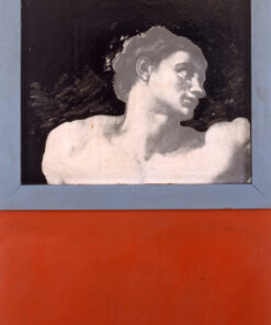 1964<br>La testa di Adamo<br>collage fotografico, legno e smalto industriale su tavola<br>cm 130x65