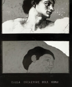 1964<br>Dalla creazione dell'uomo<br>collage fotografico e smalto industriale su tavola<br>cm 210x110