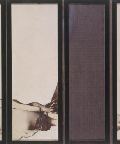 1964<br>La Grande Odalisca<br>collage fotografico, smalto industriale su tavola<br>cm 160x250