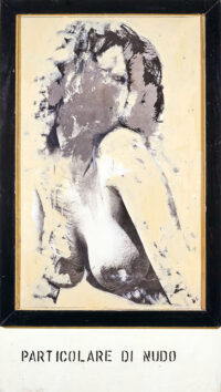 1964<br>Particolare di Nudo<br>smalto industriale, legno e collage fotografico su tavola<br>cm 120x65