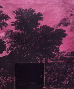 1970<br>Paesaggio antico<br>smalto alla anilina e fotografia emulsionata su tela<br>cm 70x100