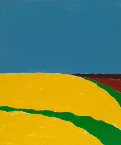 1973<br>pittura industriale, tempera, pennarello su tela<br>cm 100x80