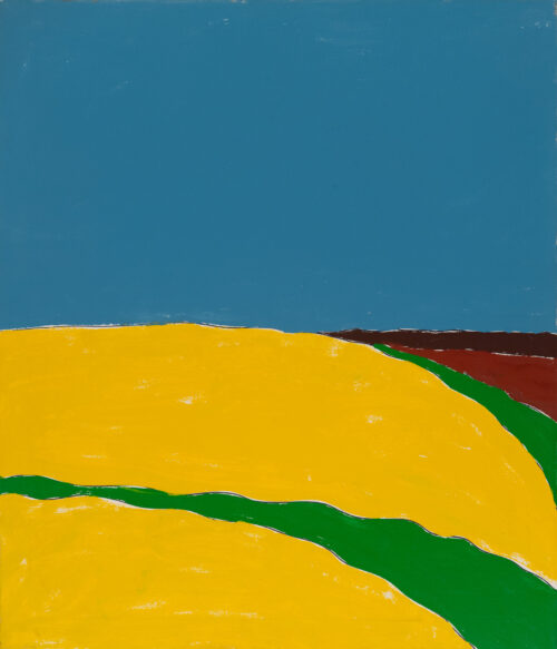 1973<br>pittura industriale, tempera, pennarello su tela<br>cm 100x80