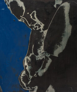 1976 2 luglio<br>A Gian Enzo<br>pittura industriale, matita, negativo fotografico emulsionato su tela<br>cm 55x75