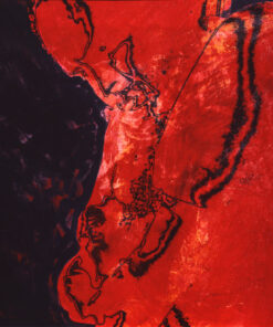 1976<br>pittura industriale, smalto alla anilina, negativo fotografico emulsionato su tela<br>cm 55x75