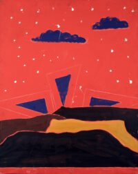 1976<br>pittura industriale, tempera, matita su tela<br>cm 100x80