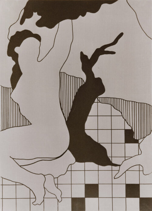 1976<br>tempera, pennarello, proiezione fotografica su tela<br>cm 70x50