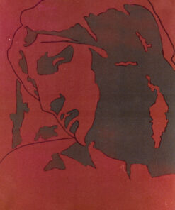 1976<br>tempera, pennarello, proiezione fotografica su tela<br>cm 50x40