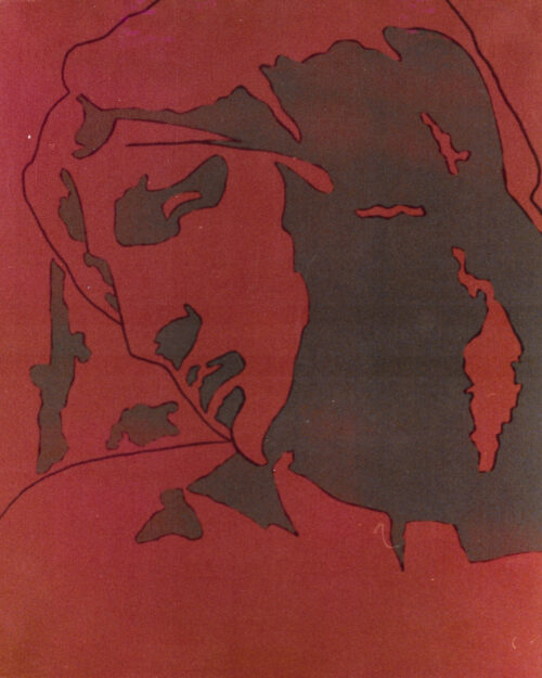 1976<br>tempera, pennarello, proiezione fotografica su tela<br>cm 50x40