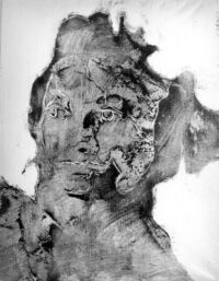 1977<br>pittura industriale, smalto alla anilina, negativo fotografico emulsionato su tela<br>cm 70x50