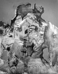 1977<br>pittura industriale, smalto alla anilina, negativo fotografico emulsionato su tela<br>cm 70x50