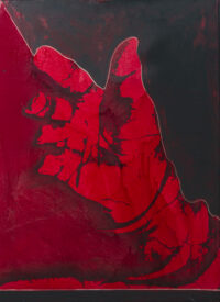 1977<br>Dal ciclo il grande Plagio, tavola n.5, Dettaglio di Ezechiele<br>pittura industriale, smalto alla anilina, matita, fotografia emulsionata su tela<br>cm 70x50