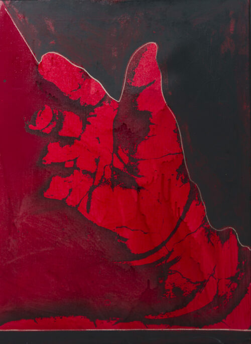 1977<br>Dal ciclo il grande Plagio, tavola n.5, Dettaglio di Ezechiele<br>pittura industriale, smalto alla anilina, matita, fotografia emulsionata su tela<br>cm 70x50