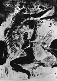 1978<br>pittura industriale, smalto alla anilina, matita, negativo fotografico emulsionato su tela<br>cm 100x70