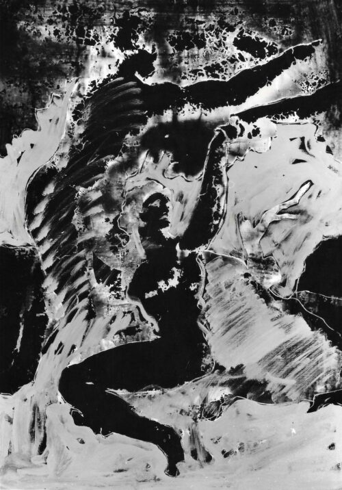 1978<br>pittura industriale, smalto alla anilina, matita, negativo fotografico emulsionato su tela<br>cm 100x70