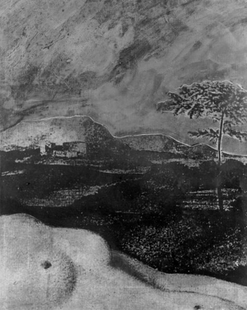 1978<br>A Stanley Kubrick<br>tempera, smalto alla anilina, matita, fotografia emulsionata su tela<br>cm 45x35