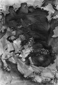 1978<br>pittura industriale, smalto alla anilina, fotografia emulsionata su tela<br>cm 100x70