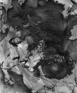 1978<br>pittura industriale, smalto alla anilina, fotografia emulsionata su tela<br>cm 100x70