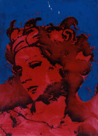 1978<br>pittura industriale, smalto alla anilina, fotografia emulsionata su tela<br>cm 70x50