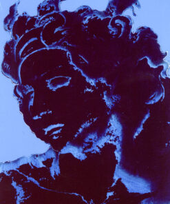 1978<br>Sibilla<br>pittura industriale, smalto alla anilina, negativo fotografico emulsionato su tela<br>cm 70x50