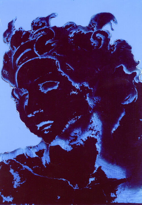 1978<br>Sibilla<br>pittura industriale, smalto alla anilina, negativo fotografico emulsionato su tela<br>cm 70x50