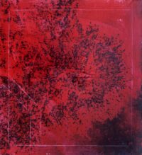 1978<br>Albero<br>smalto alla anilina, matita, negativo fotografico emulsionato su tela<br>cm 60x55