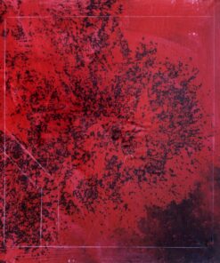 1978<br>Albero<br>smalto alla anilina, matita, negativo fotografico emulsionato su tela<br>cm 60x55