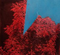 1978 maggio<br>smalto industriale, smalto alla anilina, negativo fotografico emulsionato su tela<br>cm 55x60