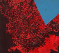 1978<br>smalto, pittura industriale, smalto alla anilina, negativo fotografico emulsionato su tela<br>cm 55x60