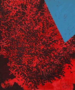 1978<br>smalto, pittura industriale, smalto alla anilina, negativo fotografico emulsionato su tela<br>cm 55x60