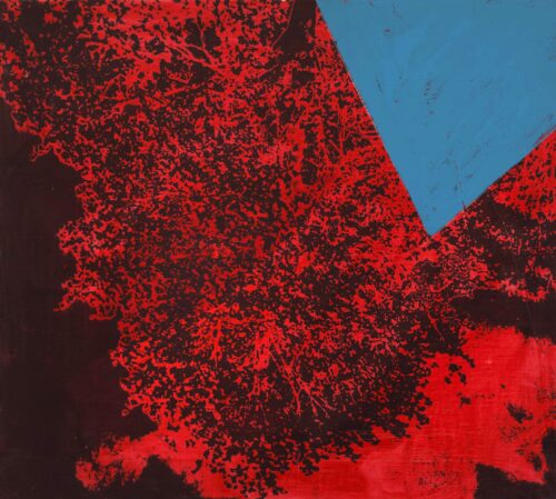 1978<br>smalto, pittura industriale, smalto alla anilina, negativo fotografico emulsionato su tela<br>cm 55x60