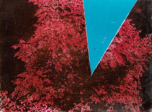 1978<br>smalto, pittura industriale, smalto alla anilina, negativo fotografico emulsionato su tela<br>cm 50x60