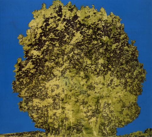 1978<br>pittura industriale, smalto alla anilina, fotografia emulsionata su tela<br>cm 60x60