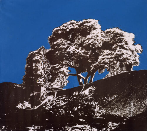 1978<br>pittura industriale, negativo fotografico emulsionato su tela<br>cm 55x60