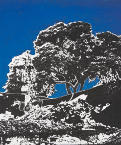 1978<br>pittura industriale e negativo fotografico emulsionato su tela<br>cm 50x60