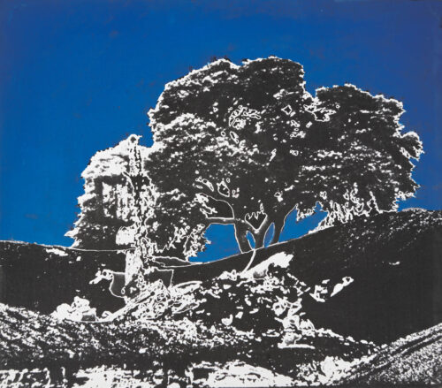 1978<br>pittura industriale e negativo fotografico emulsionato su tela<br>cm 50x60