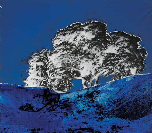 1978<br>pittura industriale, smalto alla anilina, negativo fotografico emulsionato su tela<br>cm 55x60