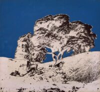 1978<br>pittura industriale, negativo fotografico emulsionato su tela<br>cm 55x60