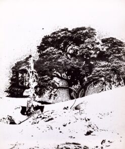 1978<br>pittura industriale, negativo fotografico emulsionato su tela<br>cm 55x60