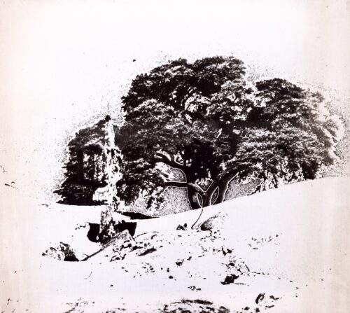 1978<br>pittura industriale, negativo fotografico emulsionato su tela<br>cm 55x60