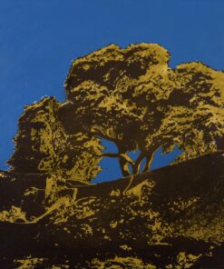 1978<br>pittura industriale, smalto alla anilina, negativo fotografico emulsionato su tela<br>cm 55x60