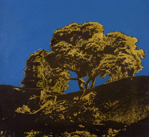 1978<br>pittura industriale, smalto alla anilina, negativo fotografico emulsionato su tela<br>cm 55x60