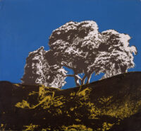 1978<br>pittura industriale, smalto alla anilina, negativo fotografico emulsionato su tela<br>cm 55x60