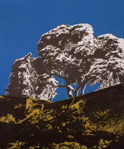 1978<br>pittura industriale, smalto alla anilina, negativo fotografico emulsionato su tela<br>cm 55x60