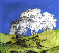 1978<br>pittura industriale, smalto alla anilina, negativo fotografico emulsionato su tela<br>cm 55x60