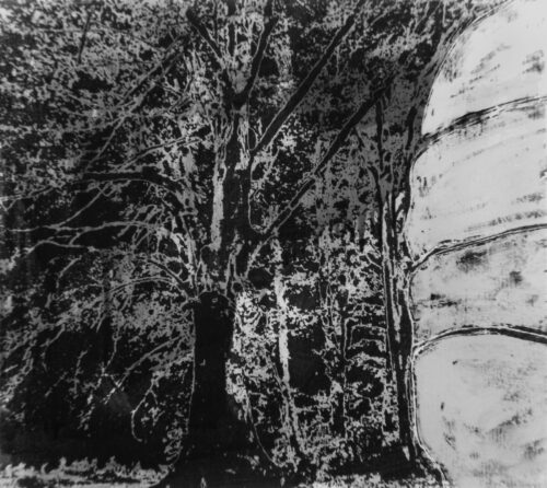 1978<br>pittura industriale, smalto alla anilina, negativo fotografico emulsionato su tela<br>cm 50x60