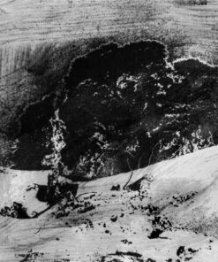 1978<br>pittura industriale, smalto alla anilina, negativo fotografico emulsionato su tela<br>cm 50x60