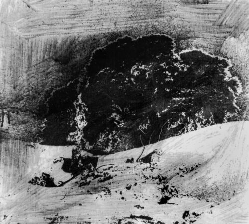 1978<br>pittura industriale, smalto alla anilina, negativo fotografico emulsionato su tela<br>cm 50x60