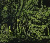 1978<br>pittura industriale, smalto alla anilina, negativo fotografico emulsionato su tela<br>cm 50x60